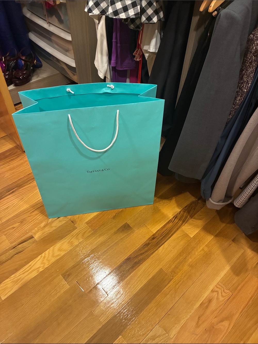 Huge XXL Tiffany & Co. Rope-Handle Shopping Tote paper bag